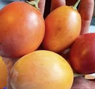 Orange Tamarillo Fruit Seeds – Heirloom, Non-GMO, High Germination Organic Garden Seeds for Planting Seeds for Planting