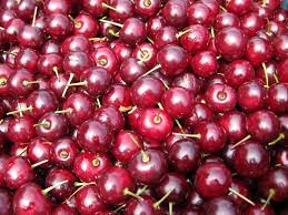 Morello Sour Cherry Fruit Seed for Planting – Heirloom Non-GMO High Germination Organic Garden Seeds