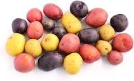 Potato Mixed Seeds – Heirloom, Non-GMO, High Germination Organic Garden Seeds Planting