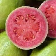 Ruby Supreme Guava Fruit Seeds for Planting – Heirloom Non-GMO High Germination Organic Garden Seeds Tropical Fruit Seeds for Home Garden