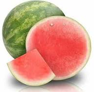 Seedless Watermelon Fruit Seeds for Planting – Heirloom Non-GMO High Germination Organic Garden Seeds