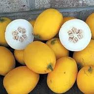 Peach Vine Mango Melon Cantaloupe Sweet Heirloom Non Gmo High Germination Organic Garden Flower
