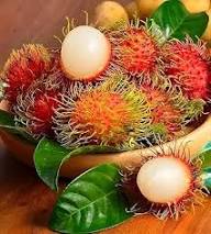 Rambutan Seeds White – Heirloom, Non-GMO, High Germination Organic Garden Seeds for Planting