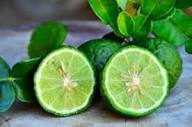 Bergamot Seeds Green Heirloom Non-GMO High Germination Organic Garden Seeds for Planting