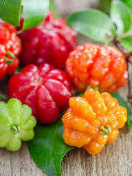 Mixed Surinam Fruit Seeds – Heirloom, Non-GMO, High Germination Organic Garden