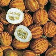 Yellow Annes Melon Seeds Heirloom Non-GMO High Germination Organic Garden Seeds for Planting