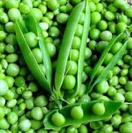 Green Pea – Heirloom, Non-GMO, High Germination Organic Garden Seeds Planting