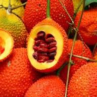 Orange Gac Seeds for Planting – Heirloom Non-GMO High Germination Organic Garden Seeds