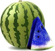 Blue Watermelon Fruit Seeds for Planting – Heirloom Non-GMO High Germination Organic Garden Seeds | Seeds for Planting