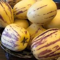 Mixed Ginseng Melon Seeds – Heirloom, Non-GMO, High Germination Organic Garden