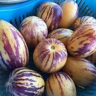 Mixed Organic Ginseng Melon Seeds – Heirloom, Non-GMO, High Germination Organic Garden