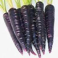 Carrot Seeds – Heirloom Non-GMO High Germination Organic Garden Seeds for Planting
