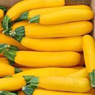 Zucchini Seeds – Heirloom Non-GMO High Germination Organic Garden Seeds