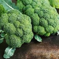 Green Broccoli Seeds – Heirloom Non-GMO High Germination Organic Garden Seeds