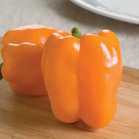 Gourmet Orange F1 Bell Pepper Seeds for Planting – Non-GMO Garden Seeds