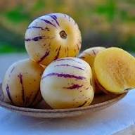 Solanum Muricatum Seeds Cream – Heirloom, Non-GMO, High Germination Organic Garden Seeds for Planting