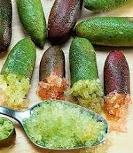Mixed Caviar Lime Seeds Heirloom Non-GMO High Germination Organic Garden Seeds for Planting