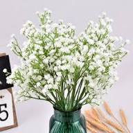 White Gypsophilia Flower Seeds for Planting Heirloom Non-GMO High Germination Organic Garden Seeds