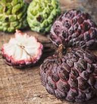 Purple Cherimoya (Sugar Apple) Fruit Seeds for Planting – Heirloom Non-GMO High Germination Organic Garden Seeds