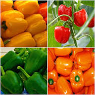 Mixed Capsicum Seeds – Heirloom, Non-GMO, High Germination Organic Garden Seeds Planting