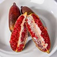 Pink Ice Finger Lime Fruit Seeds for Planting – Heirloom, Non-GMO, High Germination Organic Garden Seeds, Unique Citrus Seeds
