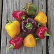 Mixed Hot Pepper Seeds Heirloom Non-GMO High Germination Organic Garden Seeds for Planting