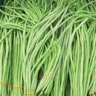 Yard Long Bean Vegetable Green Seeds – Heirloom, Non-GMO, High Germination Organic Garden Seeds