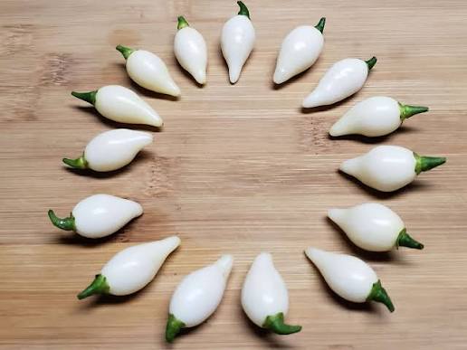 Biquinho White Pepper Seeds for Planting – Heirloom Non-GMO Vegetable Seeds
