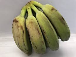 Saba Banana Fruit Seeds for Planting – Heirloom Non-GMO High Germination Organic Garden Seeds Tropical Fruit Seeds for Home Garden