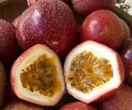 Maroon Passiflora Edulis Seeds Heirloom Non-GMO High Germination Organic Garden Seeds for Planting