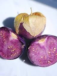Tomatillo Seeds Purple – Heirloom, Non-GMO, High Germination Organic Garden Seeds for Planting