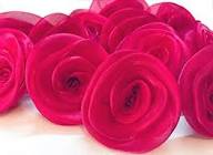 Pink Red Rose Flower Seeds for Planting – Heirloom Non-GMO High Germination Organic Garden Seeds