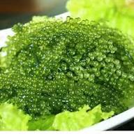 Seagrapes Seeds Heirloom Non-GMO High Germination Organic Garden Seeds for Planting