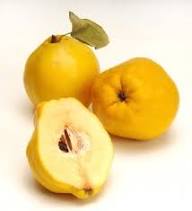 Quince Seeds Heirloom Non-GMO High Germination Organic Garden Seeds for Planting