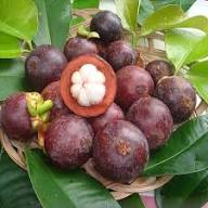 Mangostan Fruit Seeds for Planting – Heirloom Non-GMO High Germination Organic Garden Seeds Seeds for Planting