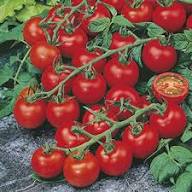 Tomato Vegetables Seeds Pink – Heirloom, Non-GMO, High Germination Organic Garden Seeds