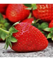 Eversweet Everbearing Strawberry Seeds for Planting – Organic Heirloom Non-GMO High Germination Organic Garden Seeds