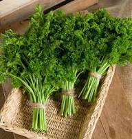 Parsley Plant Seeds Green Heirloom Non-GMO High Germination Organic Garden Seeds for Planting