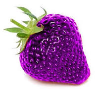 Purple Strawberry Fruit Seeds for Planting – Heirloom Non-GMO High Germination Organic Garden Seeds