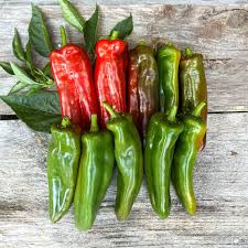 Anaheim Pepper Misticanza Seeds for Planting | Heirloom Non-GMO