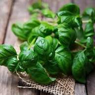 Organic Basil Plant Seeds Heirloom Non-GMO High Germination Organic Garden Seeds for Planting