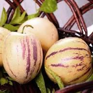 Mixed Organic Ginseng Melon Seeds – Heirloom, Non-GMO, High Germination Organic Garden
