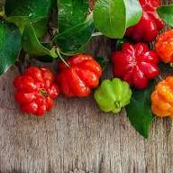Semillas de pitanga mixtas – Variedad tradicional, sin OMG, semillas de jardín orgánicas de alta germinación para sembrar