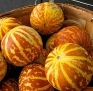 Yellow Annes Melon Seeds Heirloom Non-GMO High Germination Organic Garden Seeds for Planting