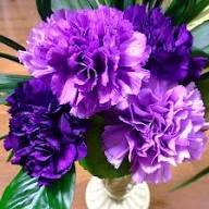 Violet Carnation Flower Seeds – Heirloom, Non-GMO, High Germination Organic Seeds