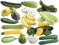 Mixed Squash Seeds – Heirloom, Non-GMO, High Germination Organic Garden Seeds Planting