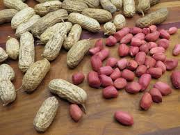 Valencia Peanuts Seeds – Heirloom, Non-GMO, High Germination, Organic Garden Seeds