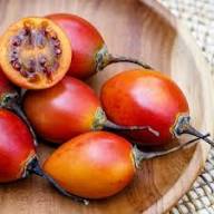 Orange Tamarillo Fruit Seeds – Heirloom, Non-GMO, High Germination Organic Garden Seeds for Planting Seeds for Planting