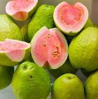 Green Psidium Seeds – Heirloom, Non-GMO, High Germination Organic Garden Seeds for Planting