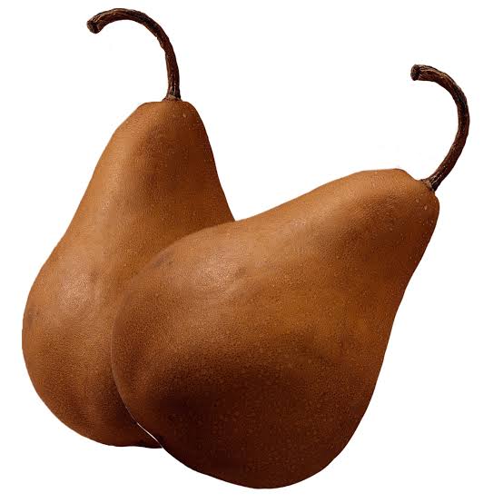 Brown Pear Fruit Seeds for Planting – Heirloom Non-GMO High Germination Organic Garden Seeds
